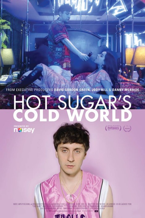 Hot Sugar's Cold World Poster